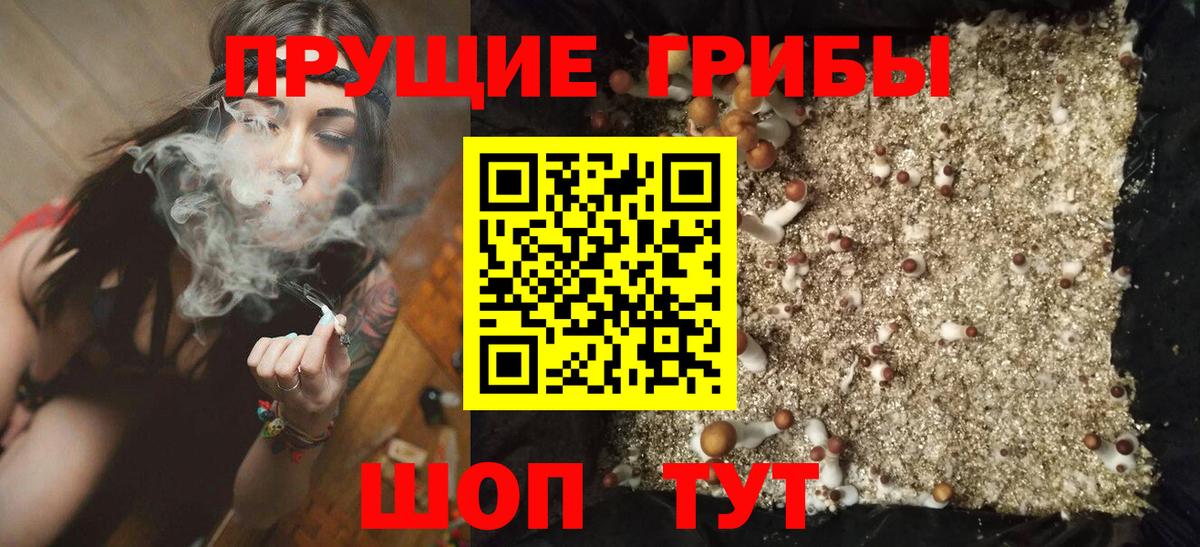 Галлюциногенные грибы MAGIC MUSHROOMS  Вход с VPN  Галлюциногенные грибы мухоморы  Заречный 