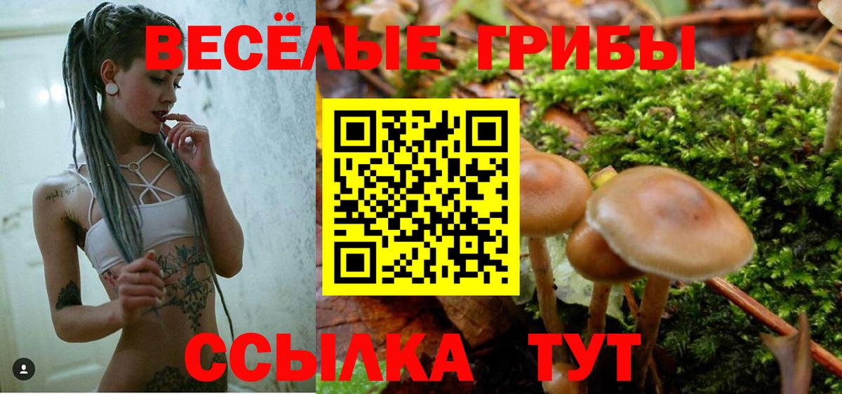 Галлюциногенные грибы мицелий Заречный